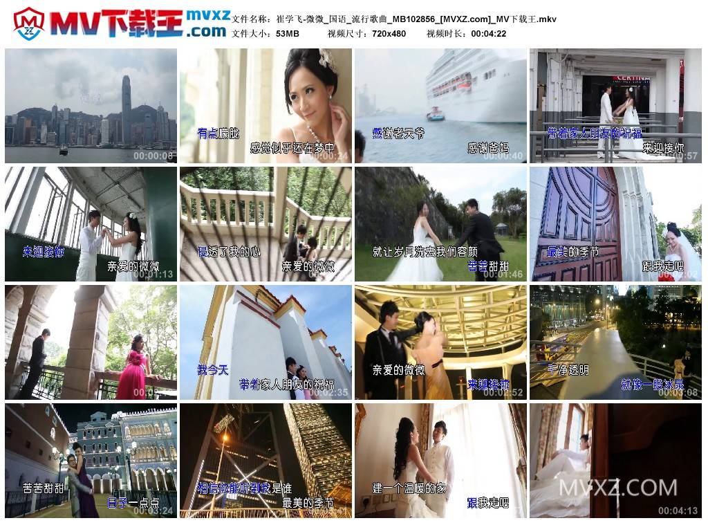 崔学飞-微微_国语_流行歌曲_MB102856